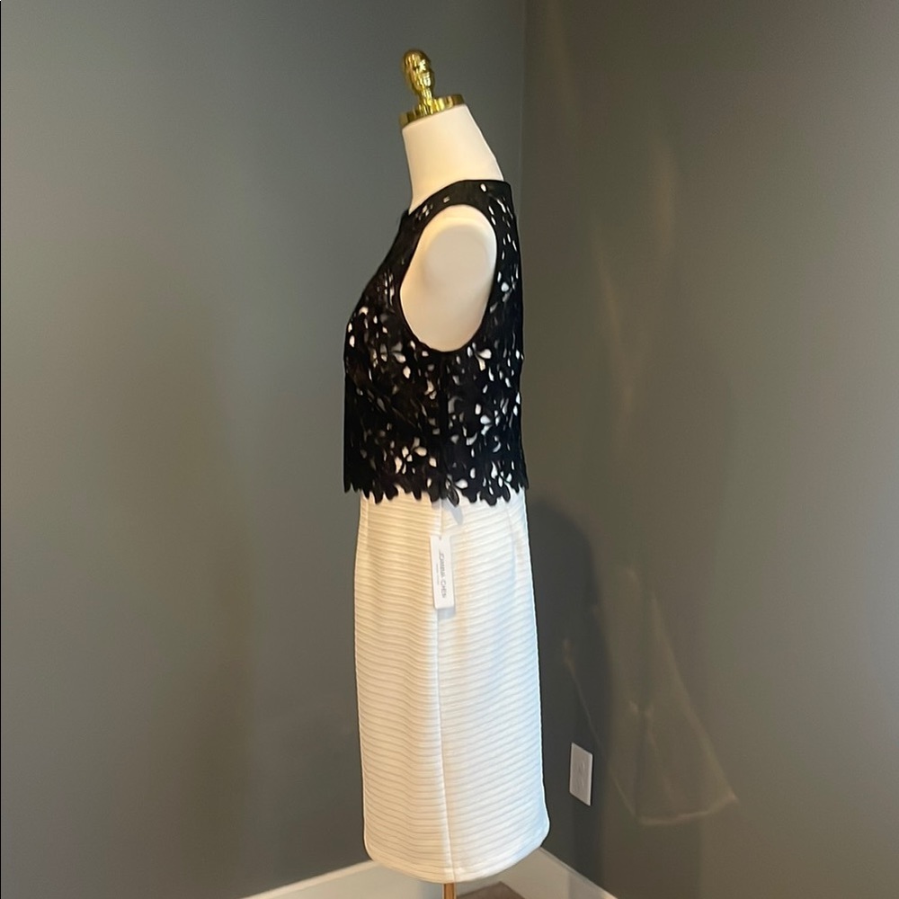 Elegant Black and White Sleeveless Dress - Picture 3 of 6
